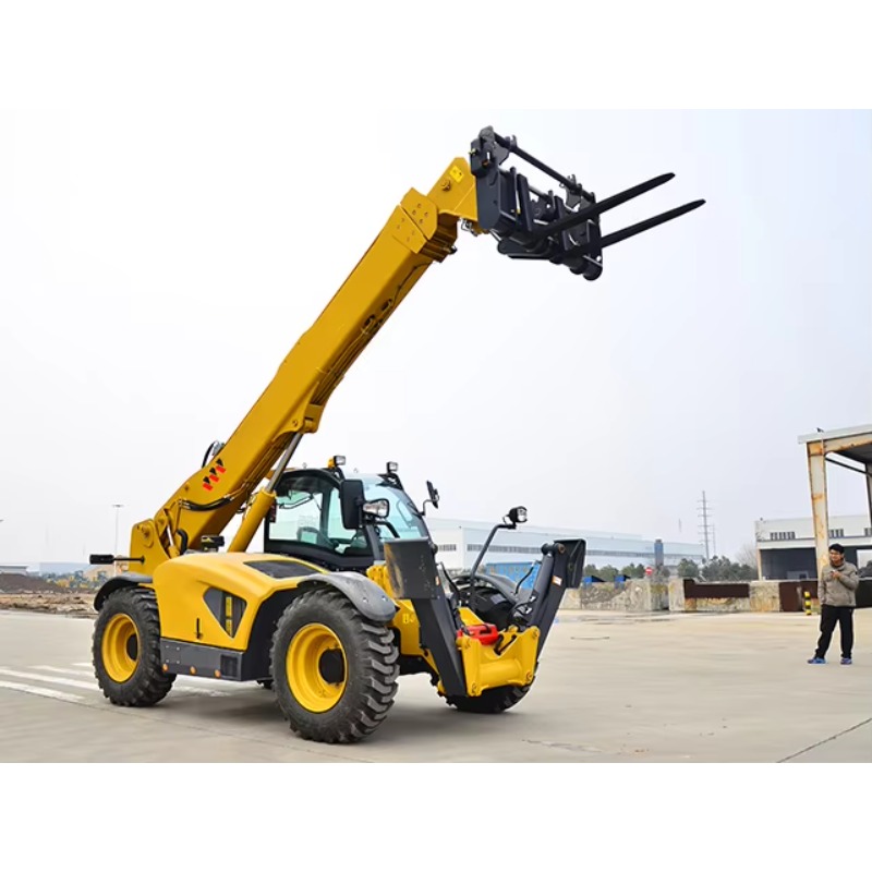 3ton Load Telescopic Forklift  - đánh giá và giá Telescopic Handler Boom